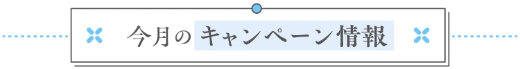 今月のキャンペーン情報